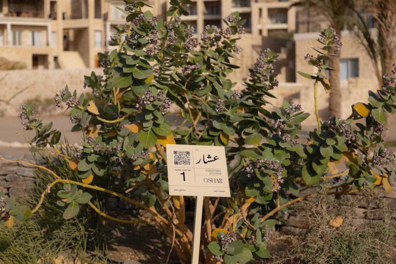 Wadi Sabarah Lodge مرسى علم المظهر الخارجي الصورة