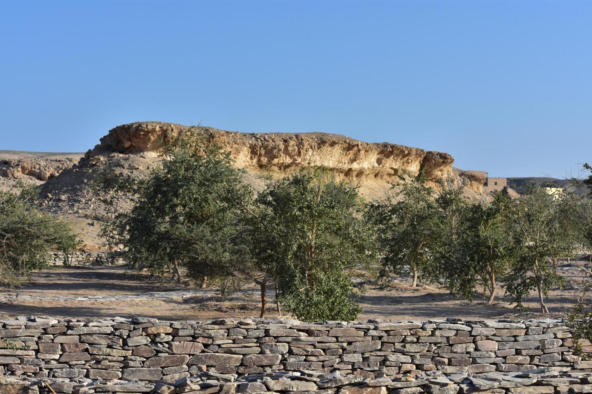 Wadi Sabarah Lodge مرسى علم المظهر الخارجي الصورة