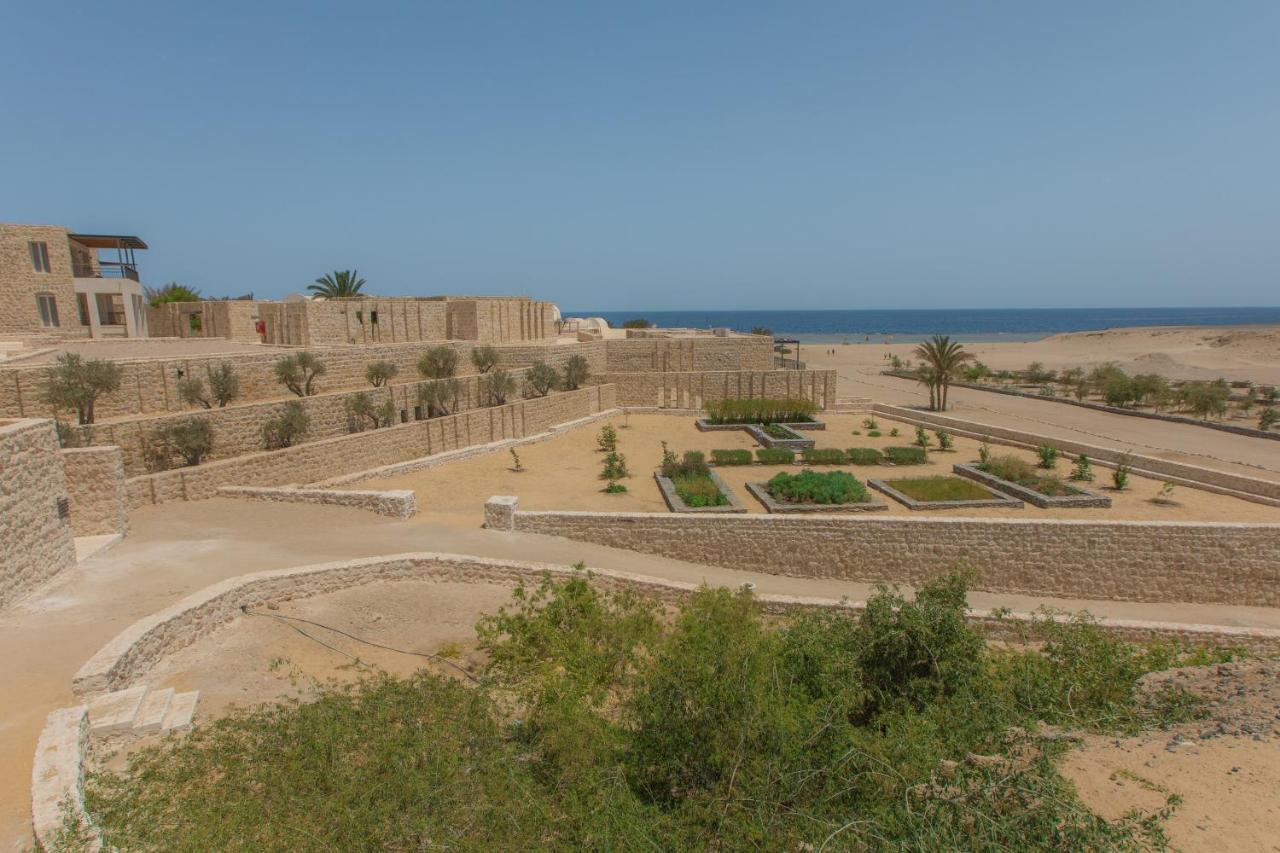 Wadi Sabarah Lodge مرسى علم المظهر الخارجي الصورة